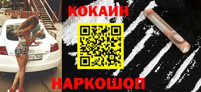 шишки Будённовск