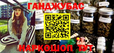 хмурый Камень-на-Оби