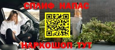 шишки Будённовск