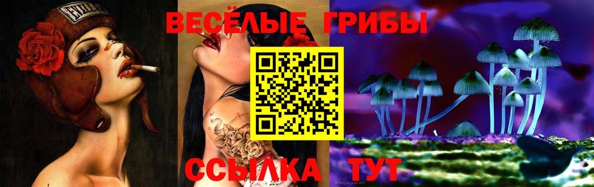 Псилоцибиновые грибы мицелий  Вход с VPN  Псилоцибиновые грибы ЛСД  Медногорск 